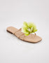 Lunaria