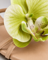 Detailed close up of Lunaria beige sandals featuring a soft orchid flower embellishment.