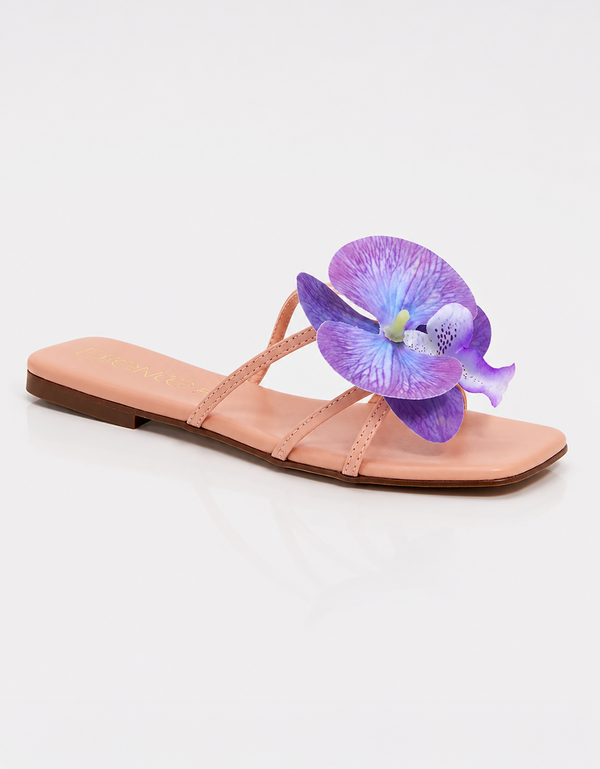 Violetta
