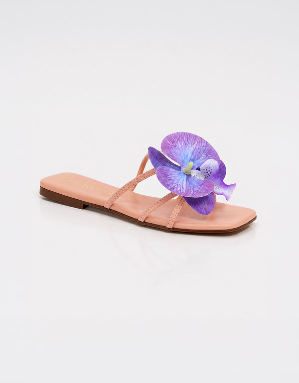 Violetta