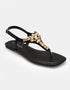 Zenvia