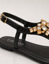 Zenvia